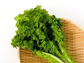 わさび菜の人気おすすめレシピ27選