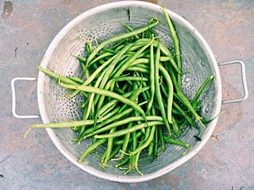 旬のいんげんは「ゴツゴツ」と「なめらか」どちらを選ぶ？失敗しないための野菜ソムリエ解説