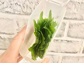 【ワッツ】大葉のうるおい長持ち！「大葉専用のケース」が「くふうあり」で便利