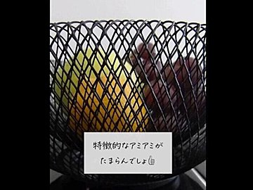 一時は欠品!?【ダイソー】「特徴的なアミアミ」「ストレスにさよなら」大人気4選
