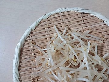 あなたも間違えてるかも!?やってはいけない「もやし」の保存方法