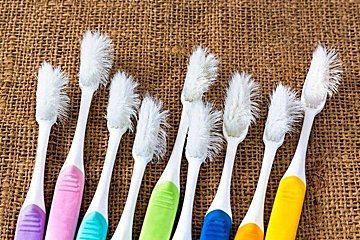 歯ブラシの交換は月1回が目安 みんなのリアルな交換頻度は たまひよ