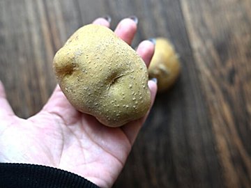 「じゃがいもは冷凍できない」って本当？実際にマッシュして冷凍してみたら驚きの結果に！