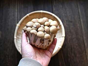 「しめじは包丁厳禁!!」しめじをむだなく調理できる方法を試してみた