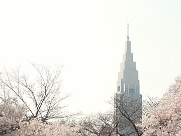 黄砂が飛んだら何すればいい？やりがちなNG行動とは⁇対策が必要な理由を予報士が解説