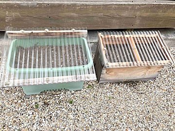 ゴミが減るだけじゃない！コンポストをやってよかったこと7選