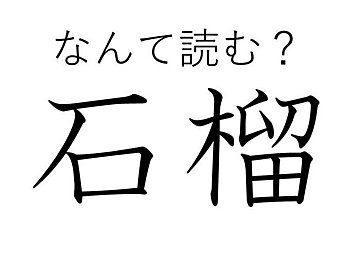 植物みたいだけどかたいのかな？難読漢字クイズ「石榴」はなんて読む？