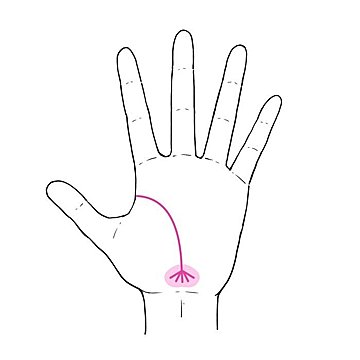 3秒でわかる手相術！ マンションの買いどきがわかる!? 住居に関する手相3選
