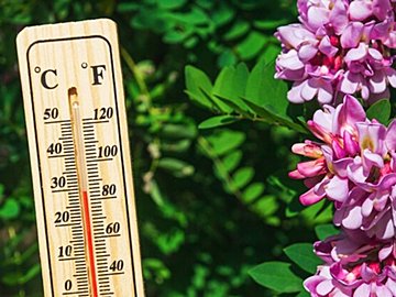 「夏日」は何月から？春と夏の暑さはどう違う??今だからこそ気をつけたいポイントを気象予報士が解説