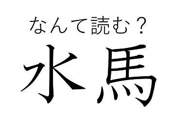 【難読漢字】思わず顔を近づけたくなる？名前の由来が面白い「水馬」はなんて読む？