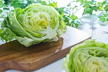 【野菜のプロ監修】「レタス」の保存方法は？正しい方法を知りおいしく使い切ろう！