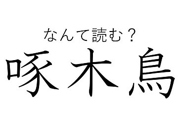 やっぱり木に関係があった！難読漢字クイズ「啄木鳥」はなんて読む？