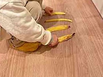 4歳息子が用意したバナナのワナ！妻から「仕掛けに引っかかって」の連絡で即帰宅する優しいパパに22万件のいいね