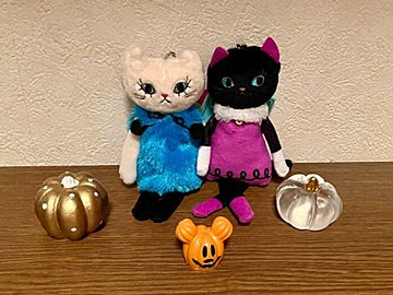 【カルディ】もはや争奪戦!?売り切れる前にゲットして欲しい、かわいい猫モチーフのハロウィングッズ