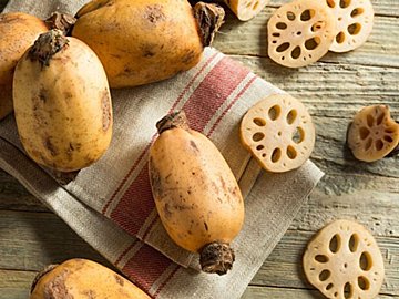 【旬食材】食べない部分に注目!?野菜ソムリエおすすめ！おいしい「れんこん」の選び方