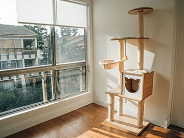 頂上まであと一歩。キャットタワーに登り途中でバテた猫の姿が可愛すぎる！