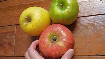 【旬食材】りんごは色によってこれだけ違う！特徴別のおすすめの食べ方とは？