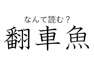 【難読漢字】「翻車魚」ってどんな魚かわかる？水族館でもおなじみ、あの人気者です！