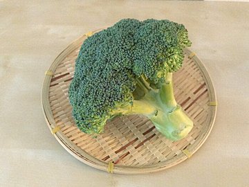【野菜の新常識】ブロッコリーは生のまま冷凍保存がおすすめの理由