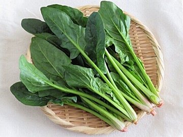 じつは避けたほうがいいかも!?野菜のプロが教える「ほうれん草」のもったいない食べかた