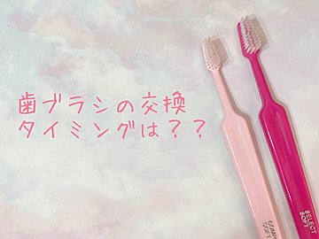 毛先が開いた状態は論外 歯ブラシの正しい交換頻度と保管方法 サンキュ