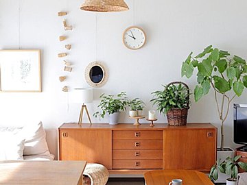 【インテリア】たったこれだけ！観葉植物をオシャレに飾る3つのコツ