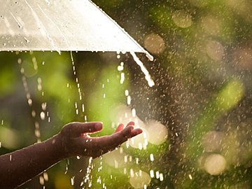 黄色いレインコートがかわいすぎる柴犬。2.9万件以上のいいねが集まるものの、なんだか不満顔!?