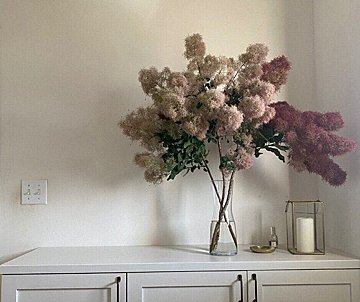 お手入れ簡単＆部屋のおしゃれ感アップ！おすすめの枝もの3選