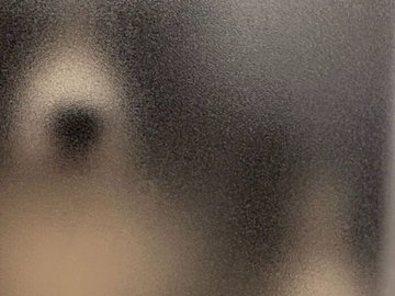 お風呂中に気配を感じて振り返ると…!?ママのことが大好きなボーダーコリーのかわいいストーカーに2万件のいいね