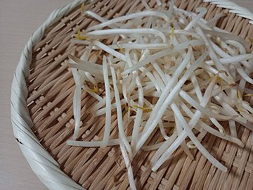 もやしは冷凍できる！しかも手間いらず！保存期間をのばす冷凍方法と活用のコツを野菜ソムリエが解説