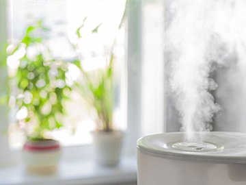 【家事のプロが解説】加湿器の使いすぎに注意！冬こそ発生しやすい「隠れカビ」の危険スポット