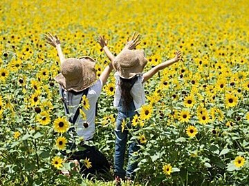 【夏休み】コスパ良く！ムリなく！子どもと過ごすための3つの工夫