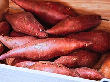 さつまいもは意外と持たないから冷凍して！忘れがちだけど重要な「ひと手間」も野菜ソムリエが解説