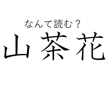山だけにあるとは限らない！難読漢字「山茶花」はなんて読む？