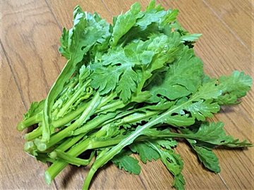 【旬食材】春菊は葉が大きいのと小さいのどちらを選ぶ？ハズレを引かないコツを野菜ソムリエが解説