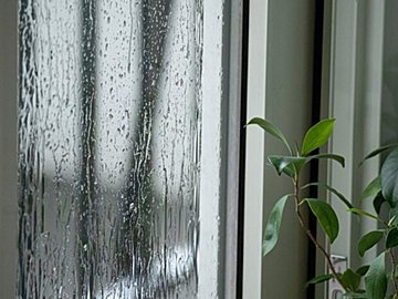 ずぼらでも大丈夫！整理収納アドバイザーが実践する簡単ジメジメ湿気対策3選