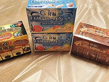 【セリア】で発見！え？おうちでできちゃうの？話題沸騰中の「発掘シリーズ」で遊んでみた