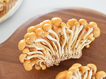 なめこの人気レシピ35選！味噌汁だけじゃない！簡単なレシピを紹介！