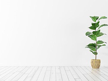 1回たったの10秒で効果を実感できる！猫背をなおす骨盤調整ストレッチ