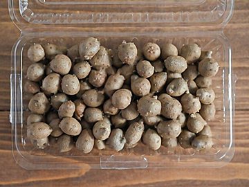 【旬食材】ほくほく食感にやみつき！「むかご」って知ってる？＆メイン食材「むかご」だけでつくれる簡単レシピ3選