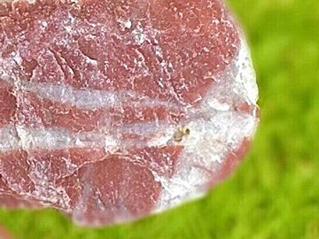 石なのに「おいしそう」!?5歳息子が幼稚園で見つけたママへのプレゼント。奇跡のビジュアルで12万いいね