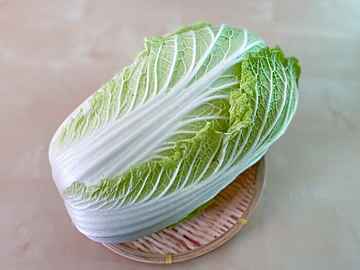 野菜ソムリエが解説 レタスの切り口はなぜ赤くなる 防ぐポイントは を使わないこと サンキュ 野菜ソムリエが解説 レタスの切り口はなぜ赤くなる 防ぐポイントは を使わないこと サンキュ