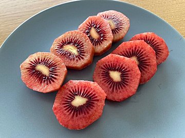 「赤いキウイ!?」春にしか食べられない！激ウマ「ルビーレッド」を発見！