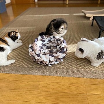 猫×たい焼き」の組み合わせが最高！ カプセルトイ『抱きしめ鯛』の可愛 