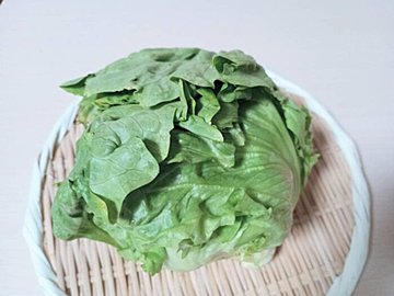 【旬食材】レタスは重いのと軽いのどっちを選ぶ？鮮度を判断するため見るべき場所は？野菜ソムリエ解説