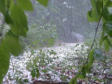 なぜ「ひょう」は冬に降らない？初夏にかけて要注意な現象を気象予報士が解説