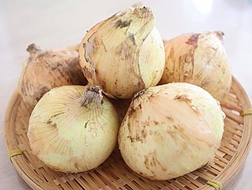覚えておきたい！旬の「新たまねぎ」の正しい保存方法
