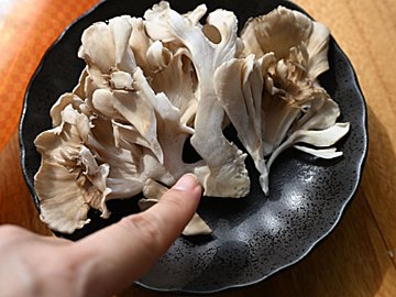 「まいたけ」はカットしないで！八百屋歴10年、野菜のプロが教える新事実