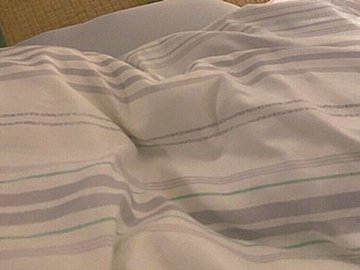 愛犬からのメッセージ？体調を崩して寝込んでいると、柴犬がそっと置いたおもちゃに17万「いいね」が集まる