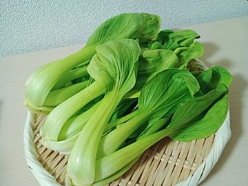 【旬食材】やわらかくてアクの少ない「ちんげん菜」を選ぶコツを野菜ソムリエが解説